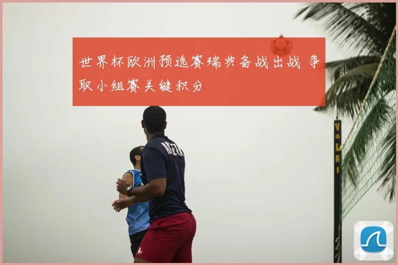 世界杯欧洲预选赛瑞典备战出战 争取小组赛关键积分