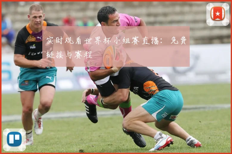 实时观看世界杯小组赛直播:免费链接与赛程