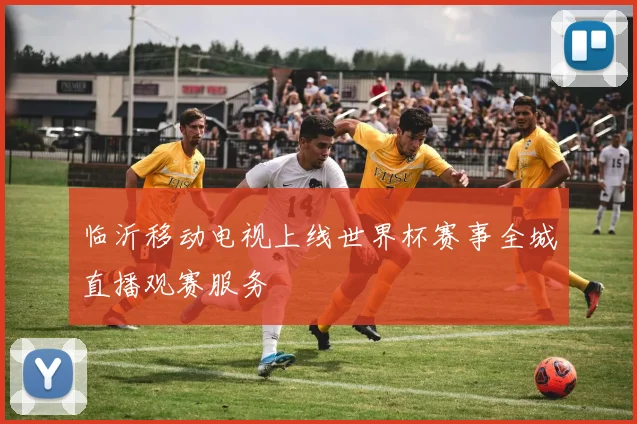 临沂移动电视上线世界杯赛事全城直播观赛服务