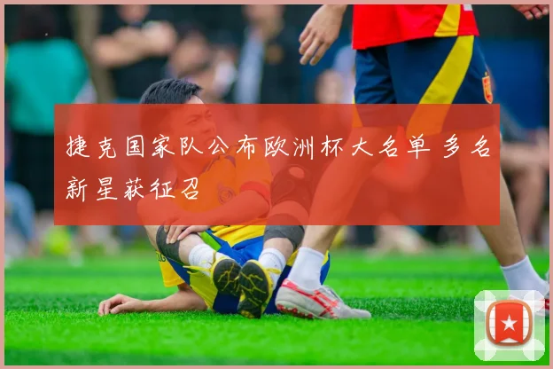 捷克国家队公布欧洲杯大名单 多名新星获征召