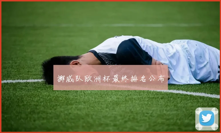 挪威队欧洲杯最终排名公布
