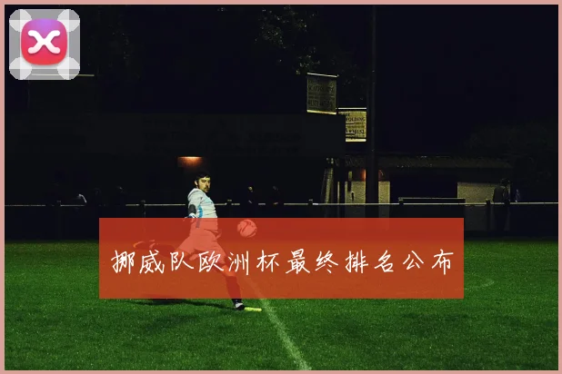 挪威队欧洲杯最终排名公布